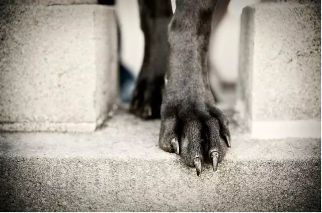 Amanda Evans Photography