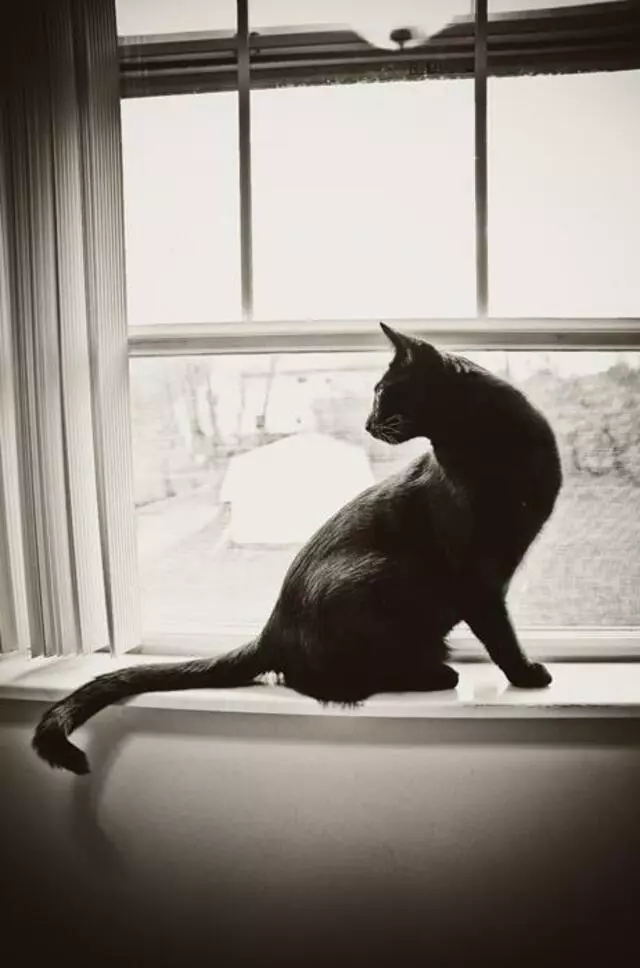 Amanda Evans Photography