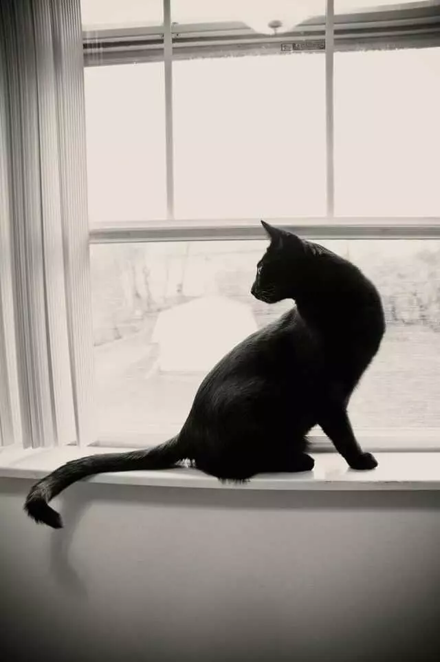 Amanda Evans Photography