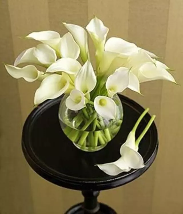 Adrian Durban Florist