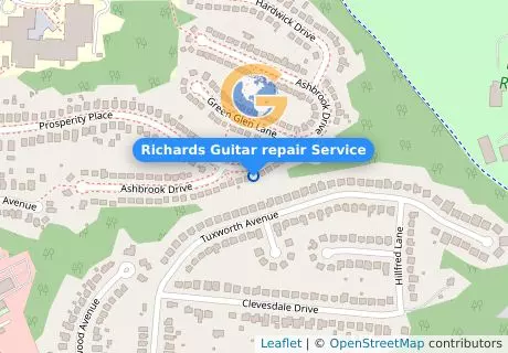 Richards Guitar repair Service