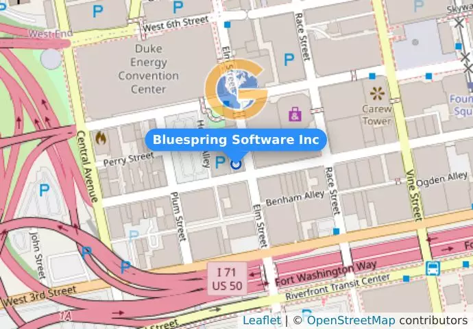 Bluespring Software Inc