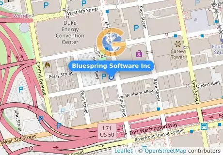 Bluespring Software Inc