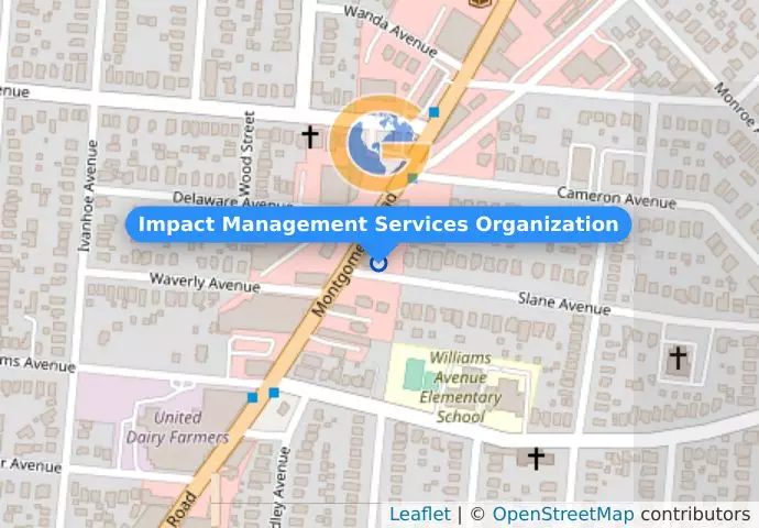 Impact Management Services Organization