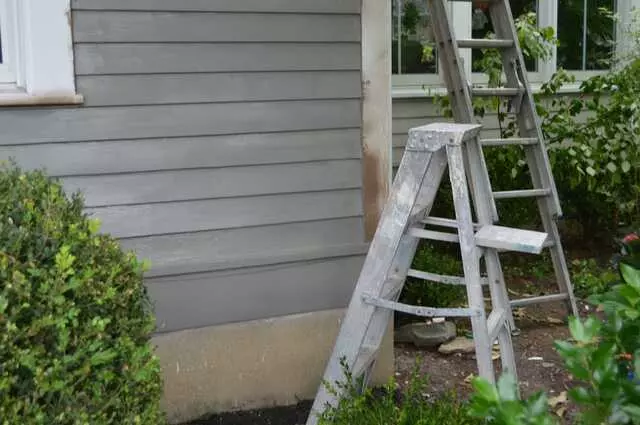 All About Painting