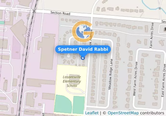 Spetner David Rabbi