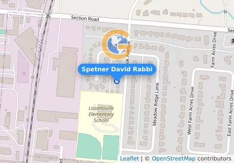 Spetner David Rabbi