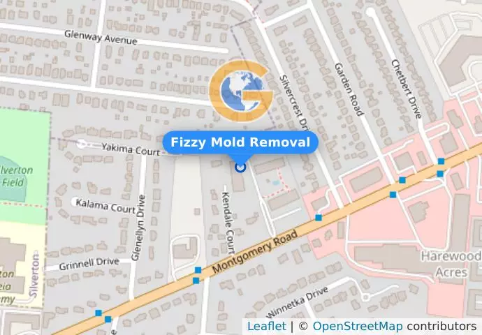 Fizzy Mold Removal