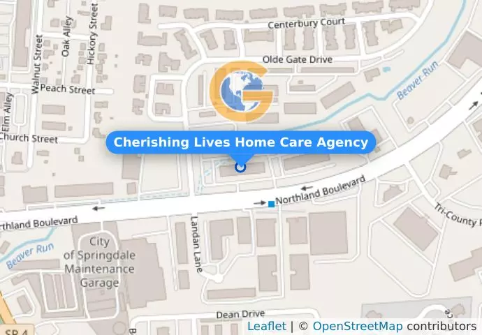 Cherishing Lives Home Care Agency