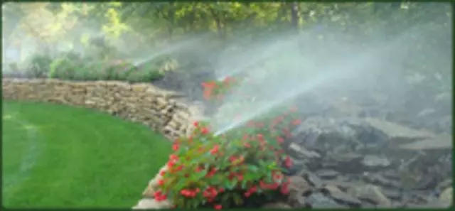Apex Irrigation