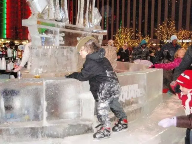 Artic Diamond Ice Sculptures
