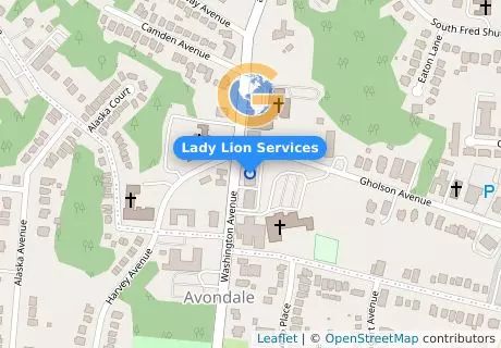 Lady Lion Services