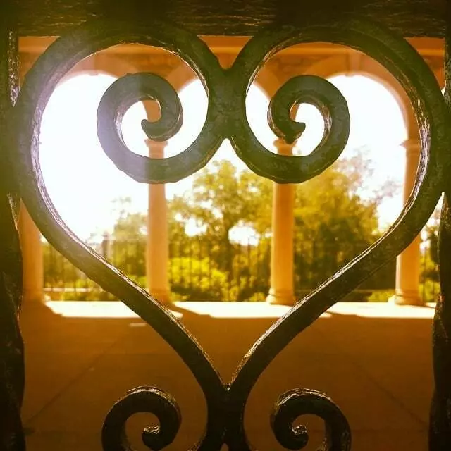 Alms Park