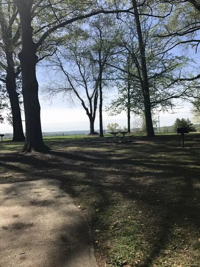 Alms Park