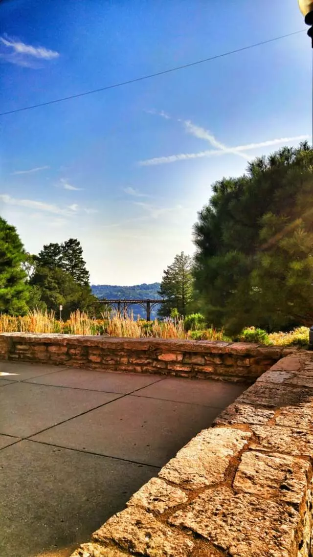 Alms Park