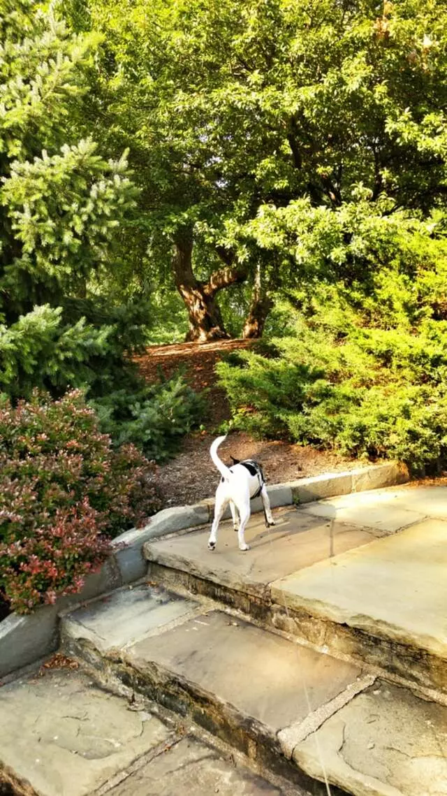Alms Park