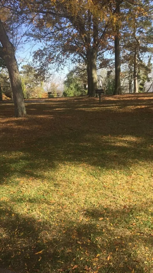Alms Park
