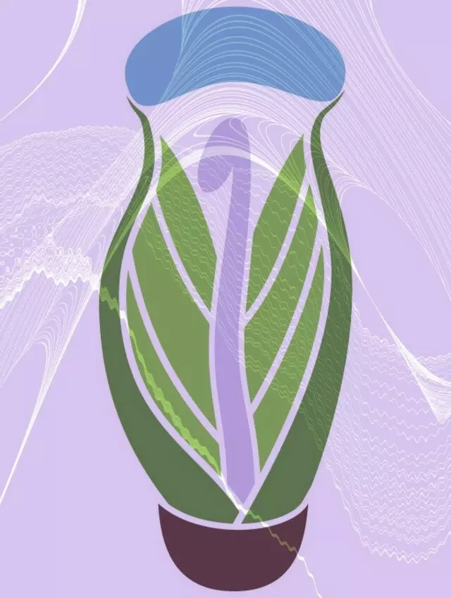 Rejuvit Therapy Spa