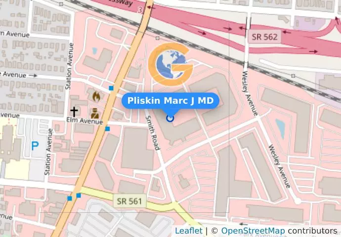 Pliskin Marc J MD