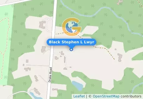Black Stephen L Lwyr