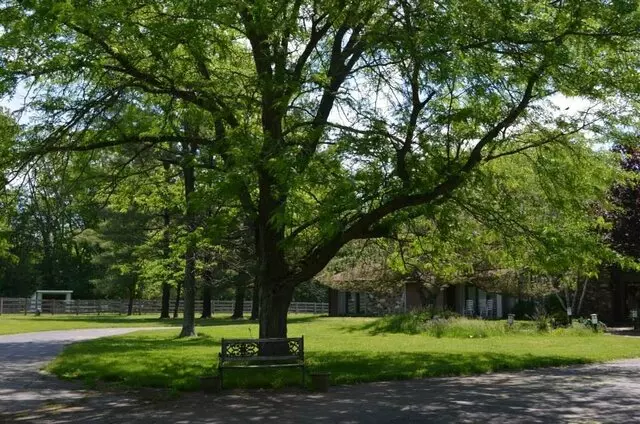 Child Counseling Place