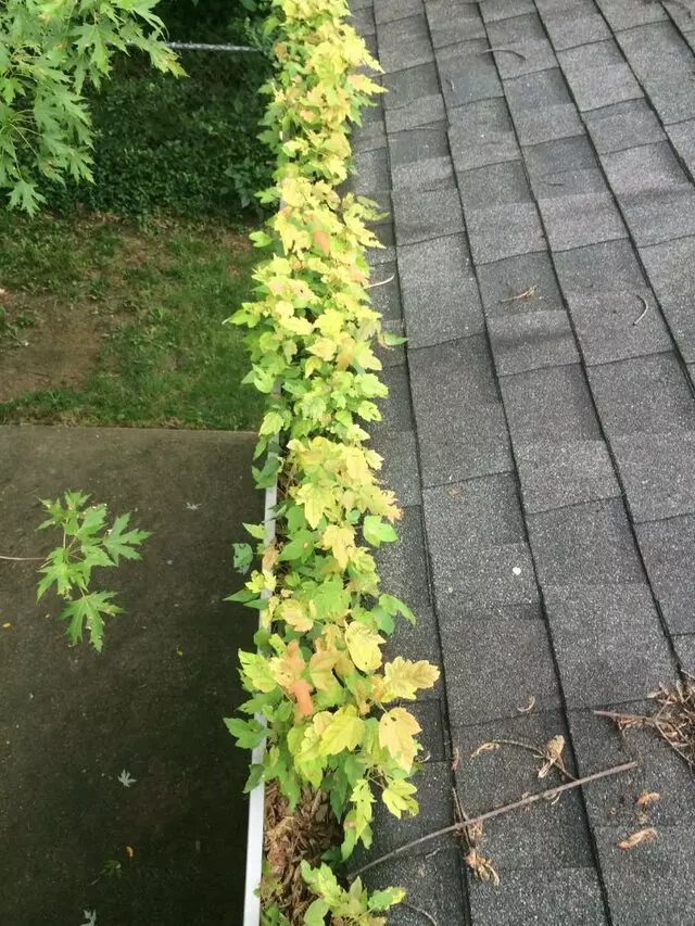 Anderson Gutter Company