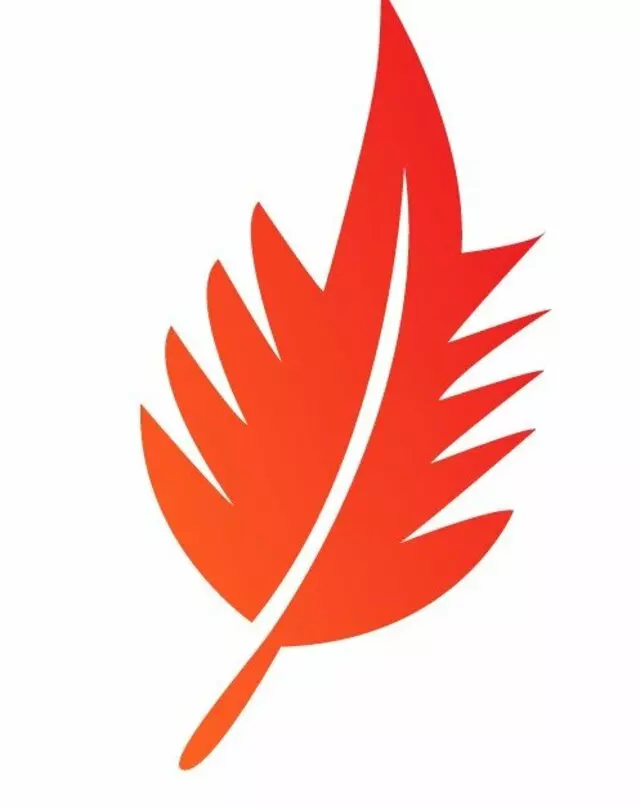 Red Fern Advisors & CPAs