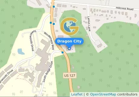 Dragon City