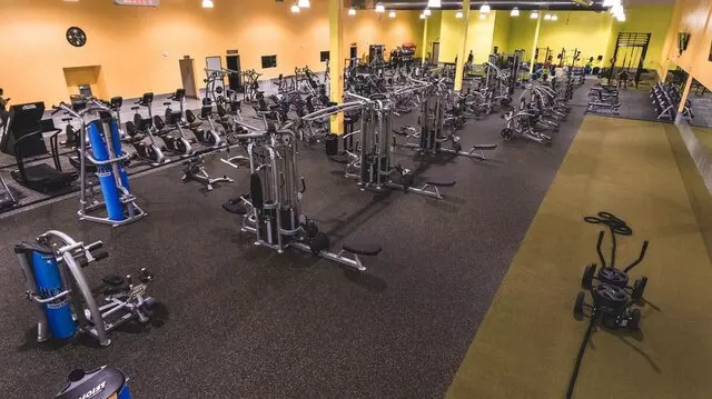 Next Level Fitness and Training