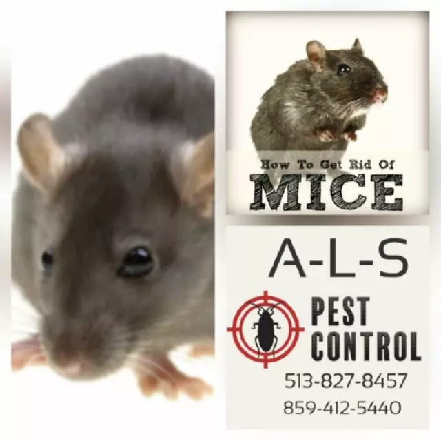 A-L-S Pest Control