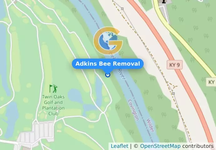 Adkins Bee Removal