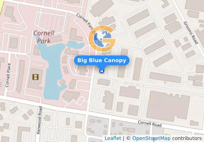 Big Blue Canopy