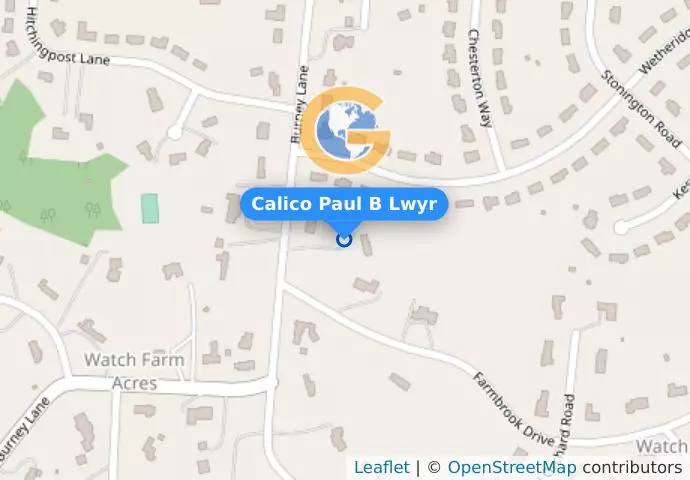 Calico Paul B Lwyr