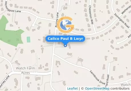 Calico Paul B Lwyr