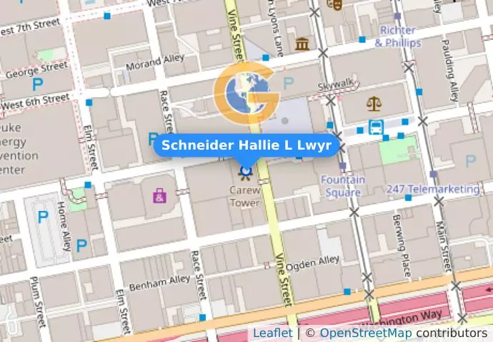 Schneider Hallie L Lwyr