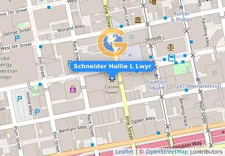 Schneider Hallie L Lwyr