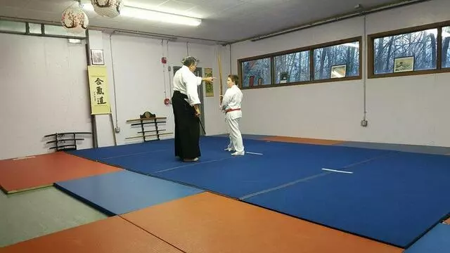 Aikido Martial Arts Center-Heiwa Toushinkan Dojo