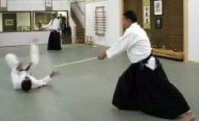 Aikido Martial Arts Center-Heiwa Toushinkan Dojo