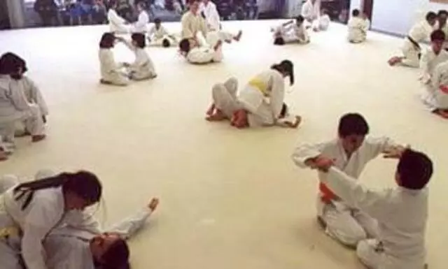 Aikido Martial Arts Center-Heiwa Toushinkan Dojo