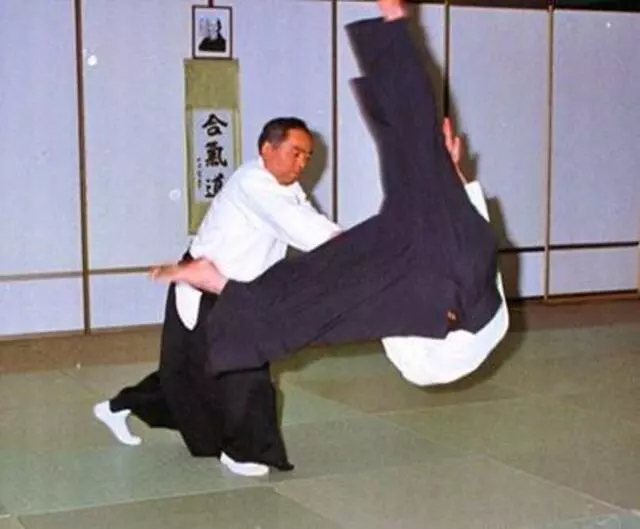 Aikido Martial Arts Center-Heiwa Toushinkan Dojo