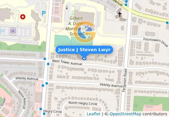 Justice J Steven Lwyr