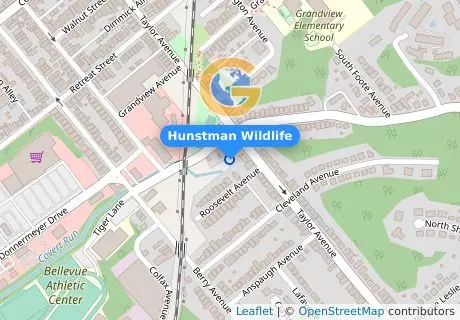 Hunstman Wildlife
