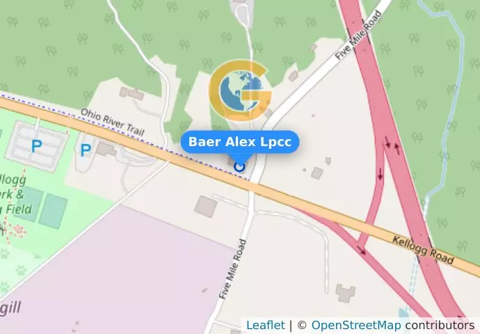 Baer Alex Lpcc