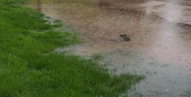 AquaProof