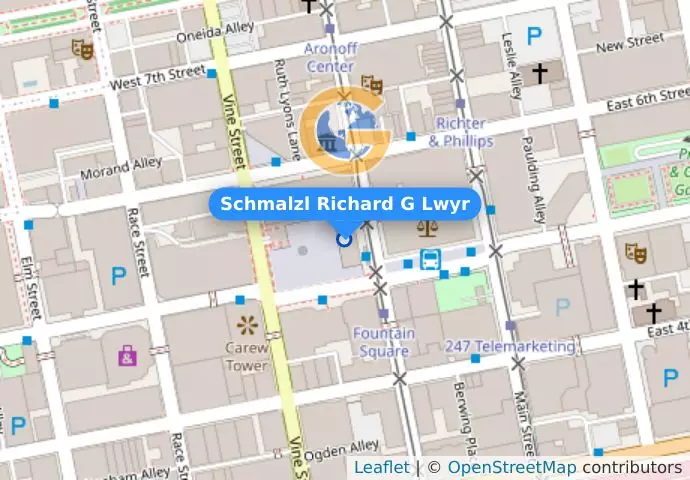 Schmalzl Richard G Lwyr