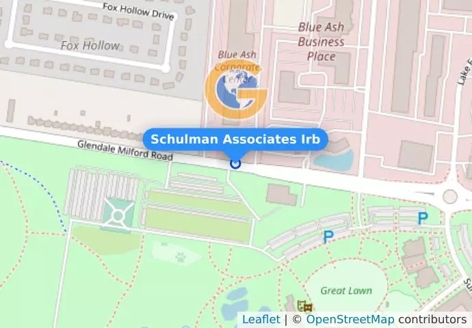 Schulman Associates Irb