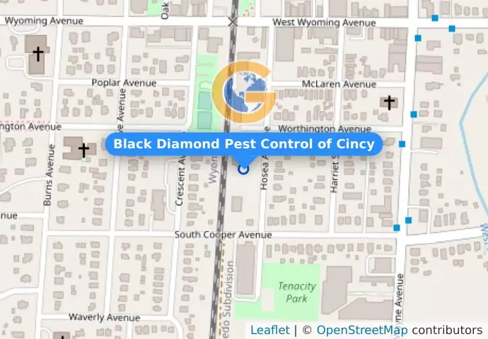 Black Diamond Pest Control of Cincy