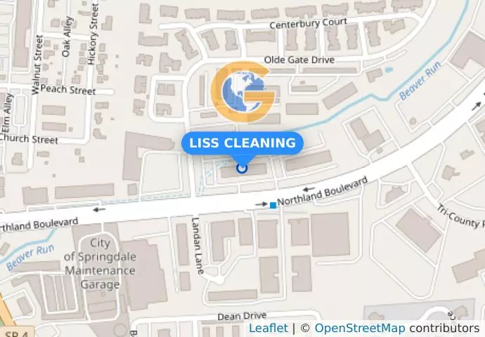 LISS CLEANING