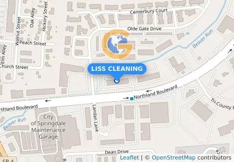 LISS CLEANING