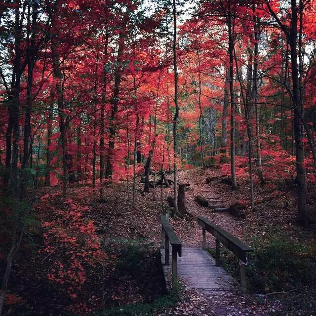 Ault Park